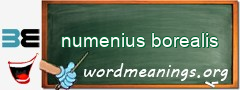 WordMeaning blackboard for numenius borealis